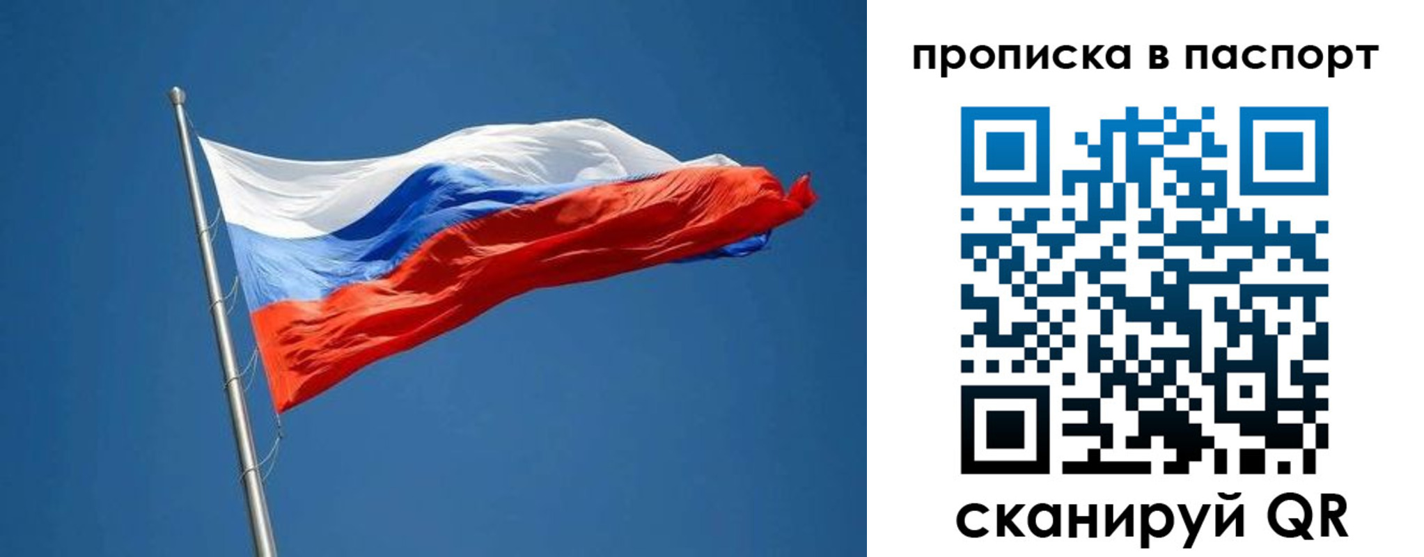 прописка паспорт в Дмитрове